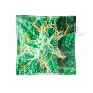 AK47 Glass Ashtray - Strain Flower