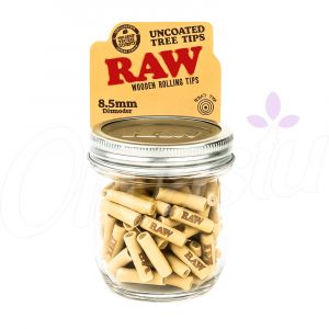 RAW Uncoated Tree Tips with Glass RAW Mason Jar (200)