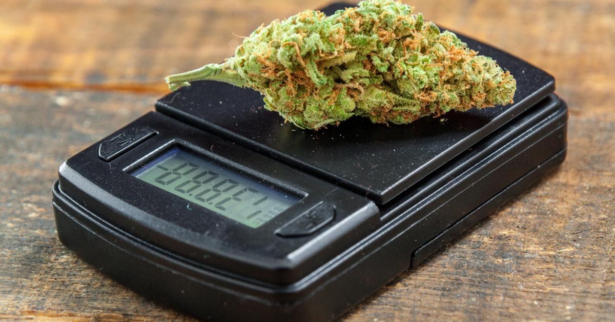 Weed Measurement Guide How Many Grams In An Ounce Olivastu